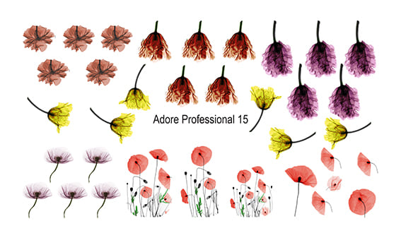 Слайдер-акварель ADORE Professional